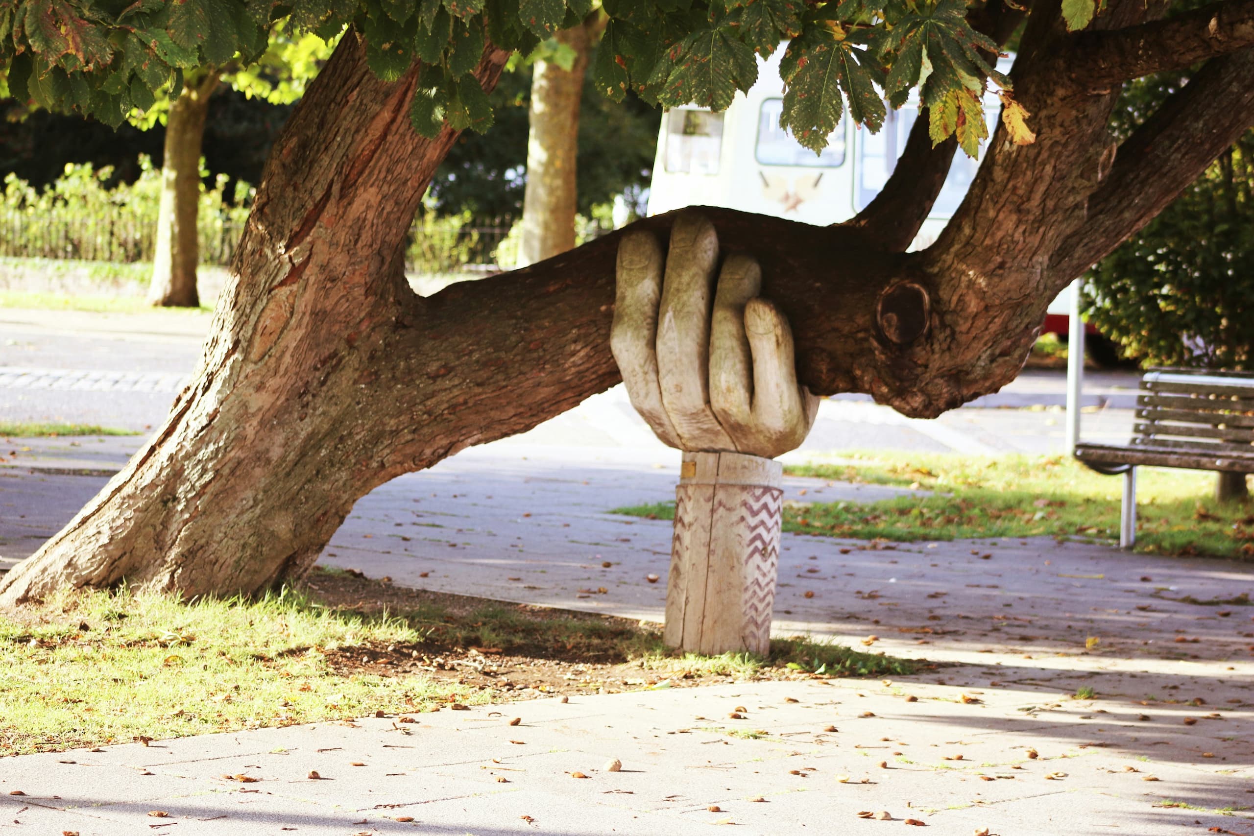 Photo of a stone hand statue supporting a tree.